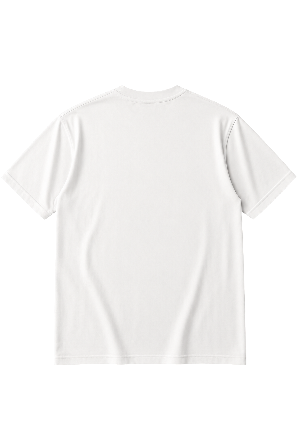 INTRODUCTION Oversized-Tee